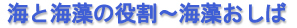 �C�ƊC���̖����`�C��������