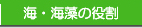 �C�E�C���̖���