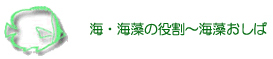 �C�E�C���̖����`�C��������