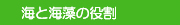 �C�ƊC���̖���
